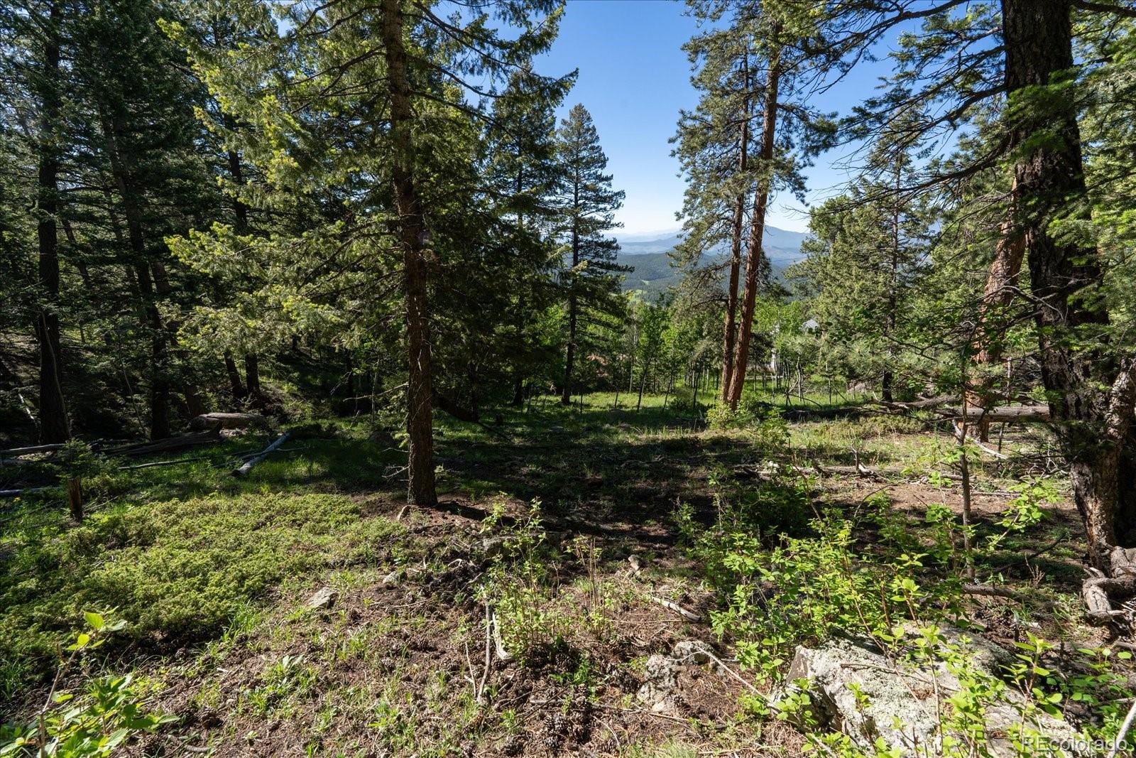 11698 Nichols Way Conifer CO 80433