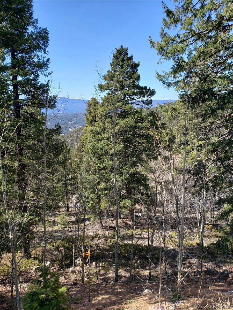 11698 Nichols Way Conifer CO 80433