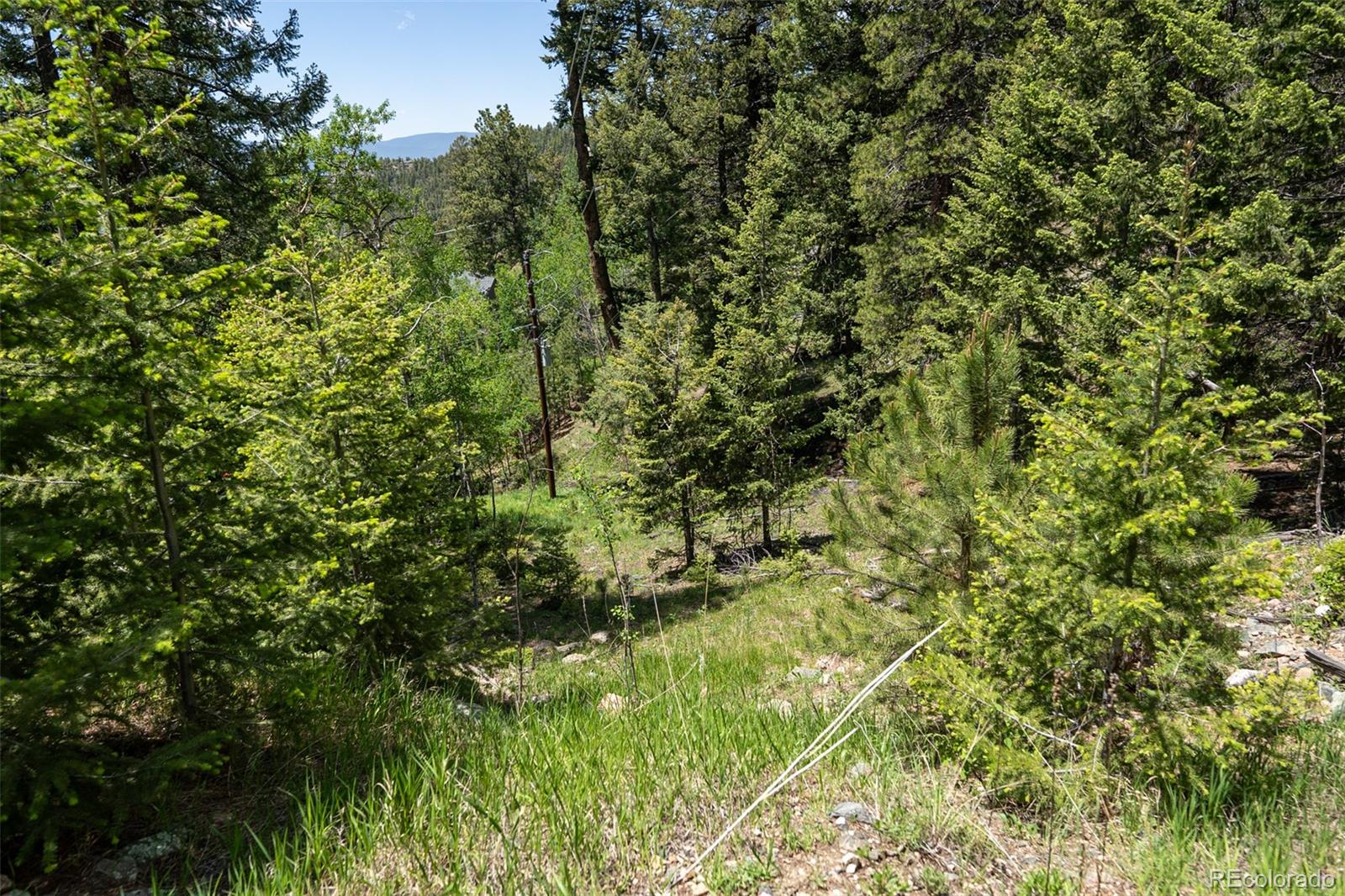 11698 Nichols Way Conifer CO 80433