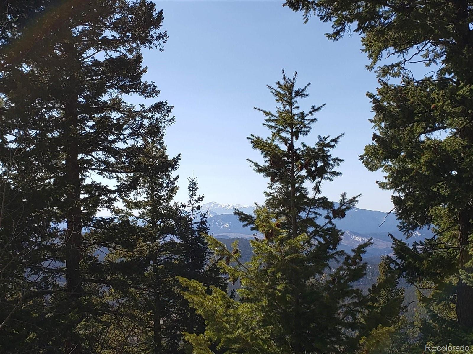 11698 Nichols Way Conifer CO 80433