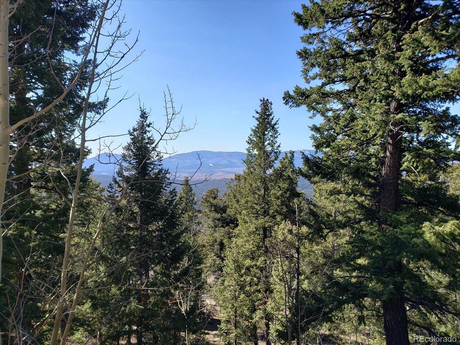 11698 Nichols Way Conifer CO 80433