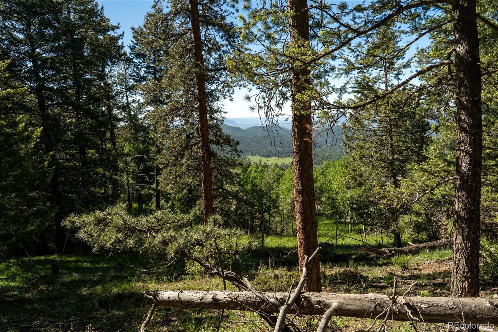 11698 Nichols Way Conifer CO 80433