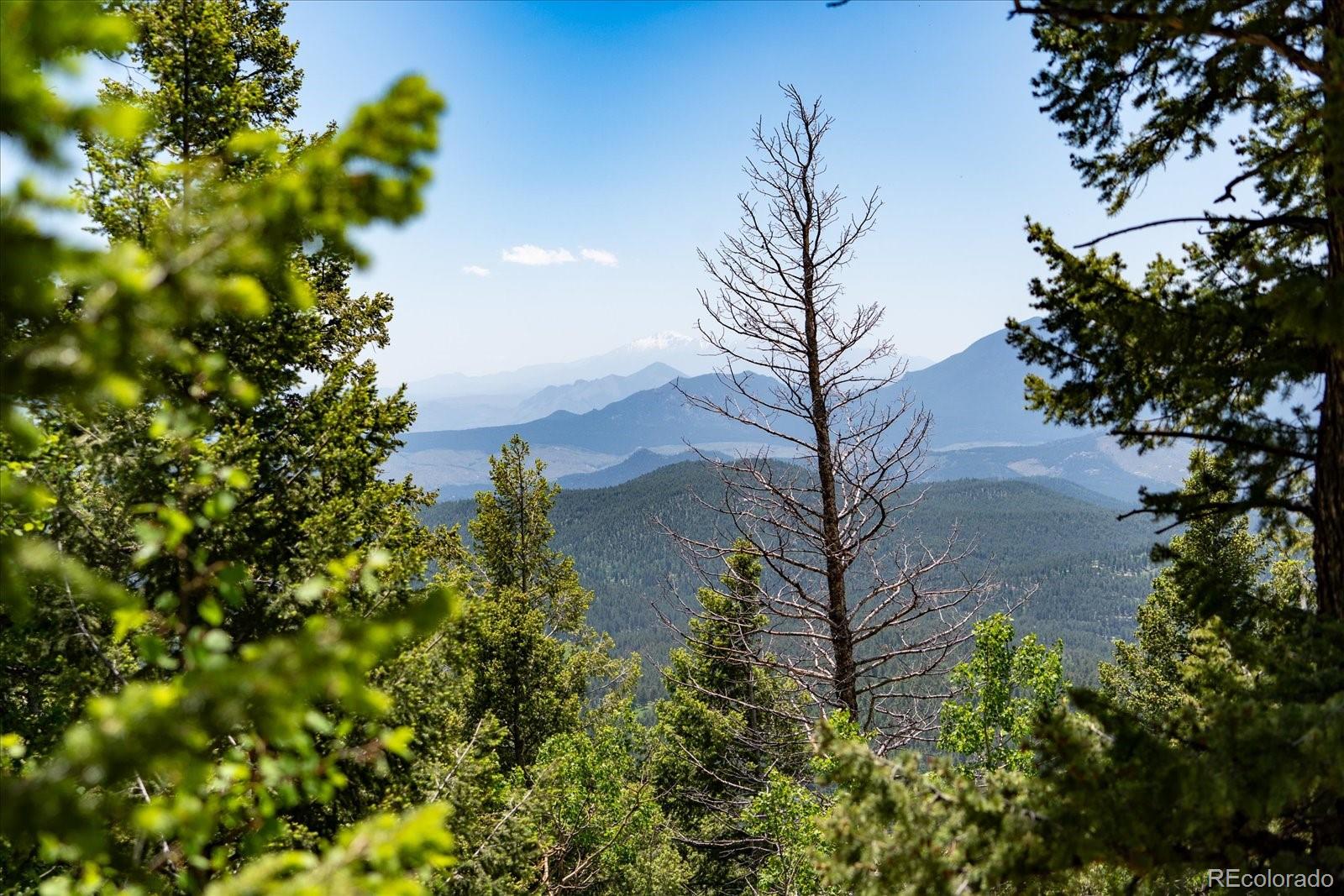 11698 Nichols Way Conifer CO 80433