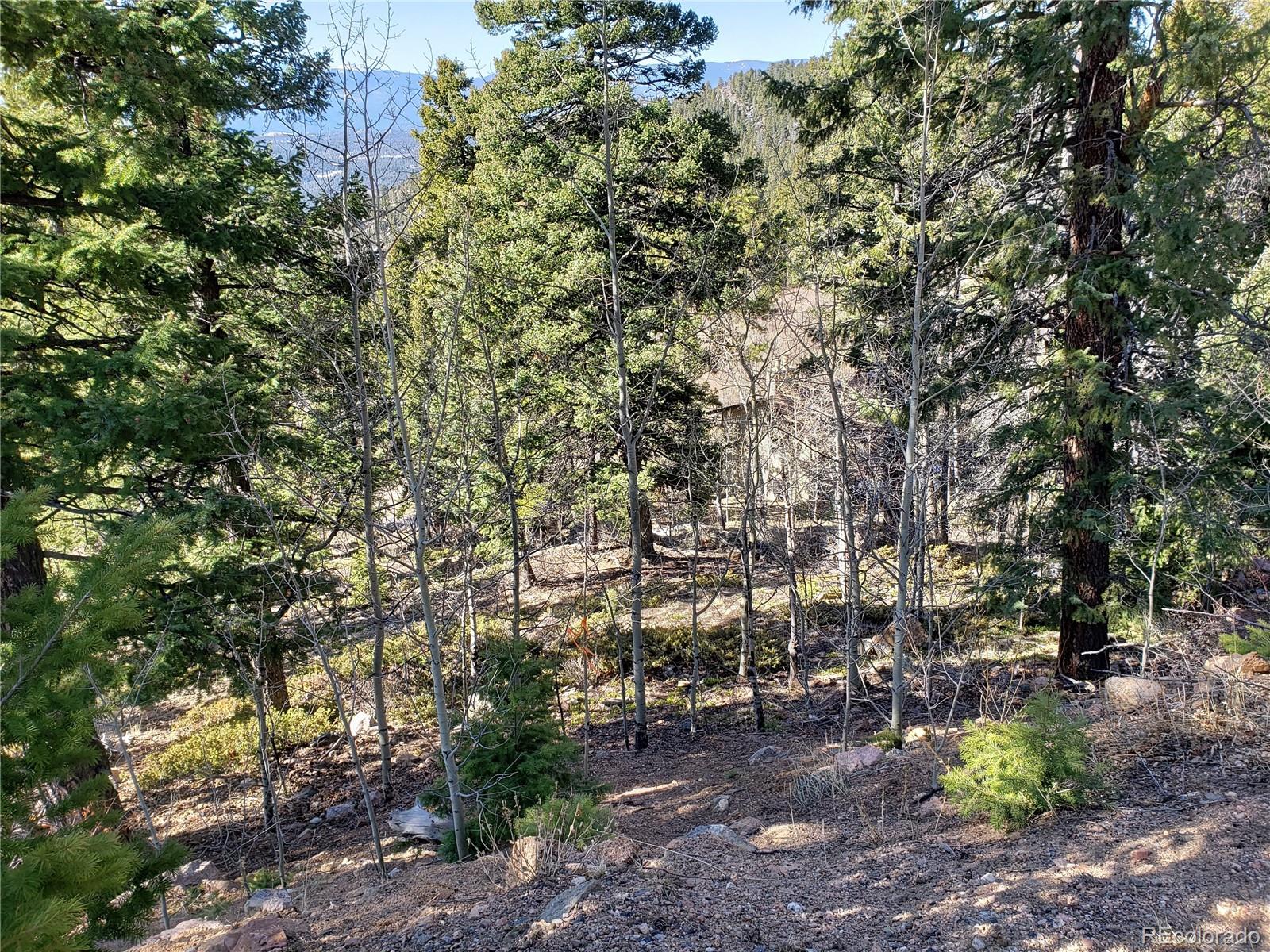 11698 Nichols Way Conifer CO 80433