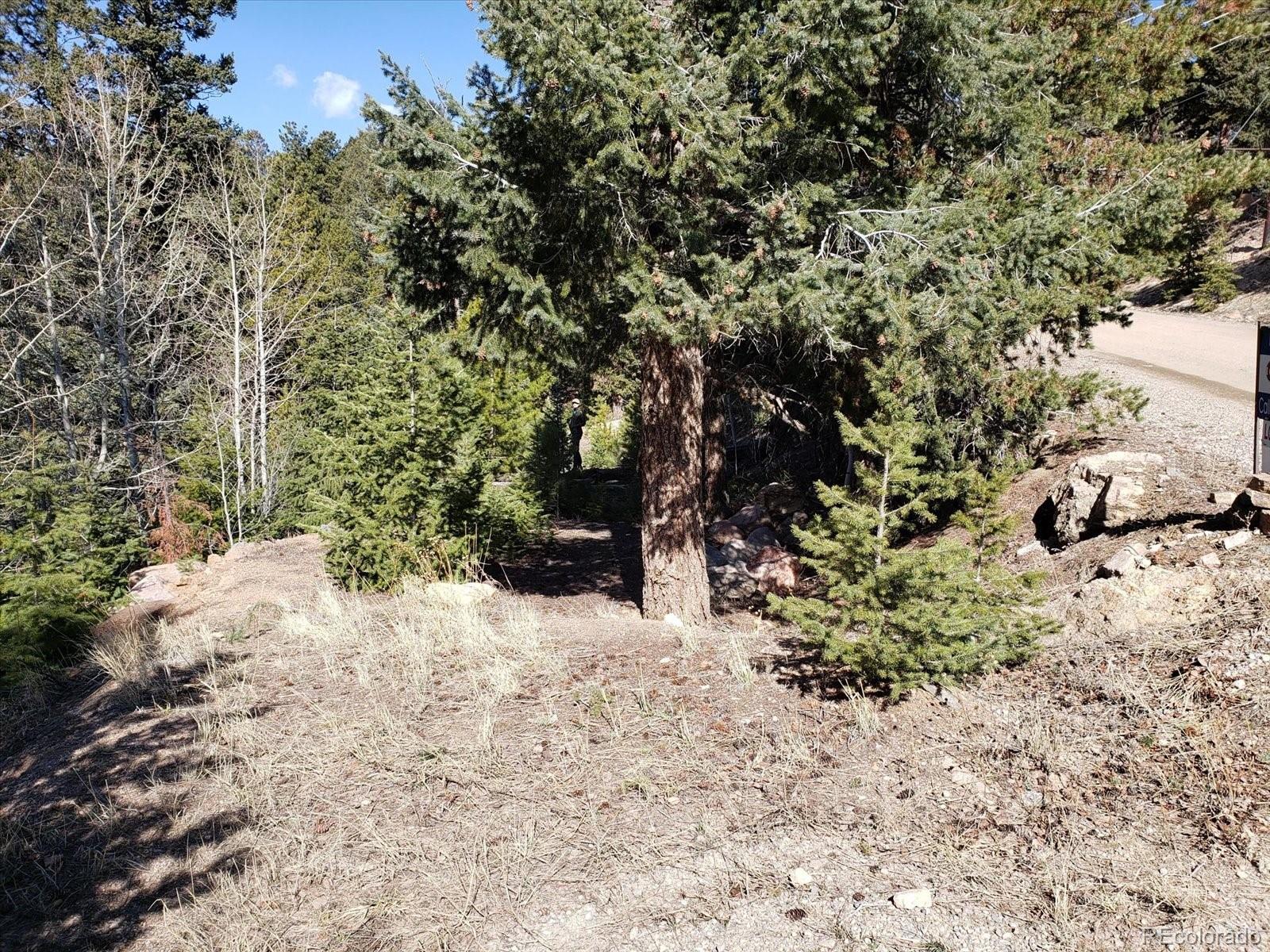 11698 Nichols Way Conifer CO 80433