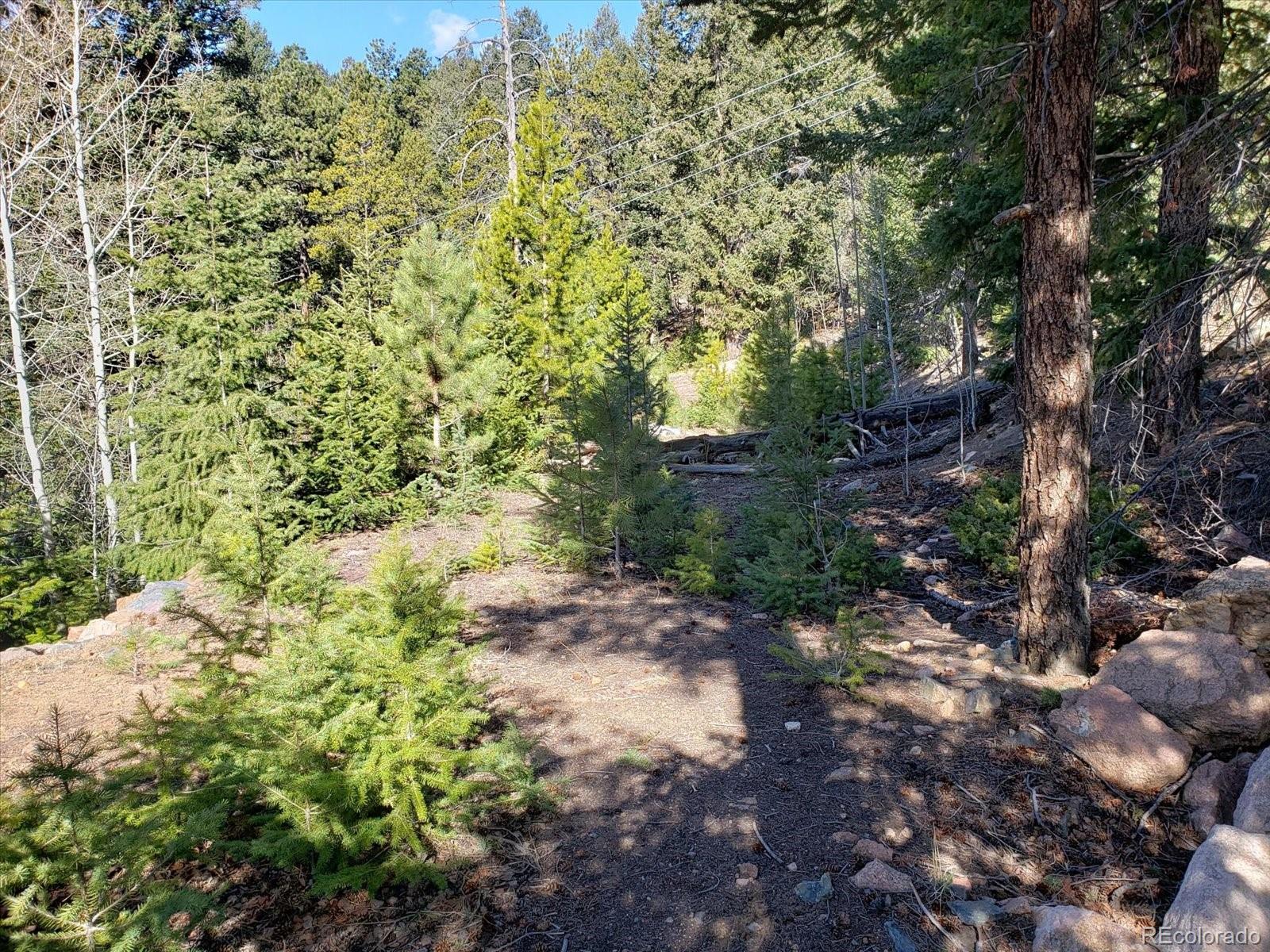 11698 Nichols Way Conifer CO 80433