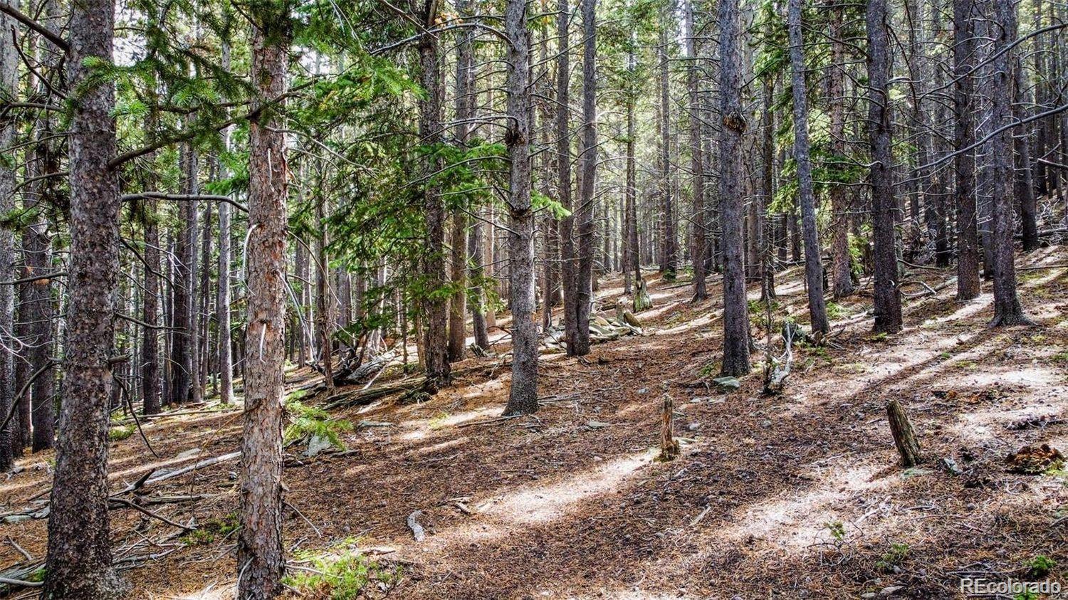 000 Sawmill Lane Idaho Springs CO 80452