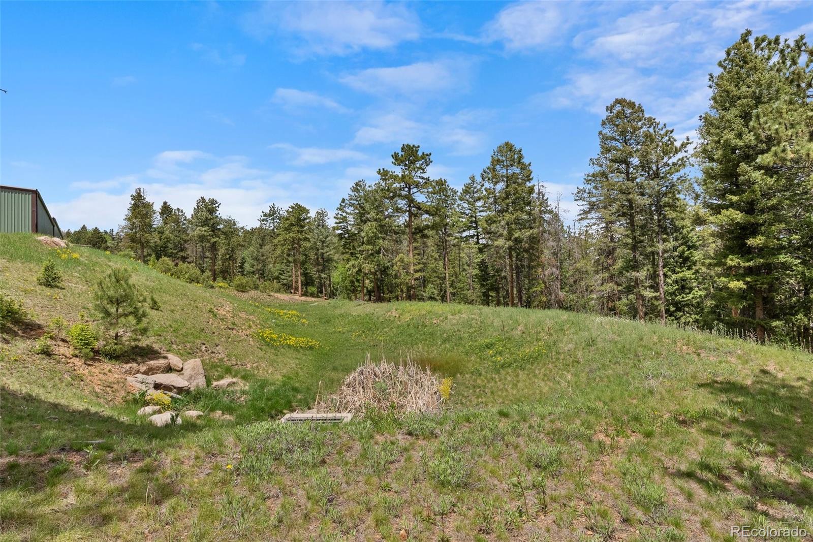 11040 Kitty Drive Conifer CO 80433