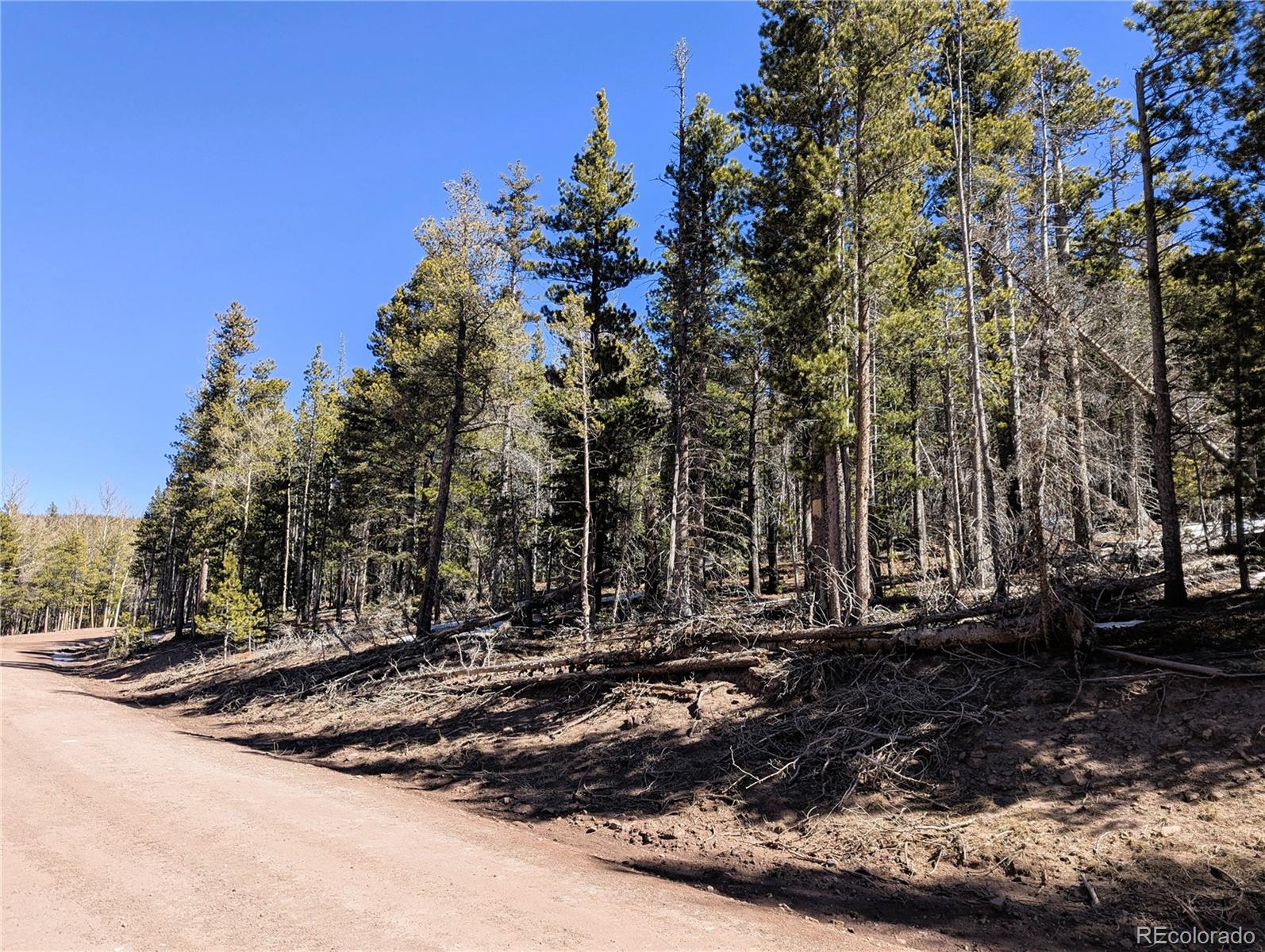 3323 Purnell Lane Fort Garland CO 81133