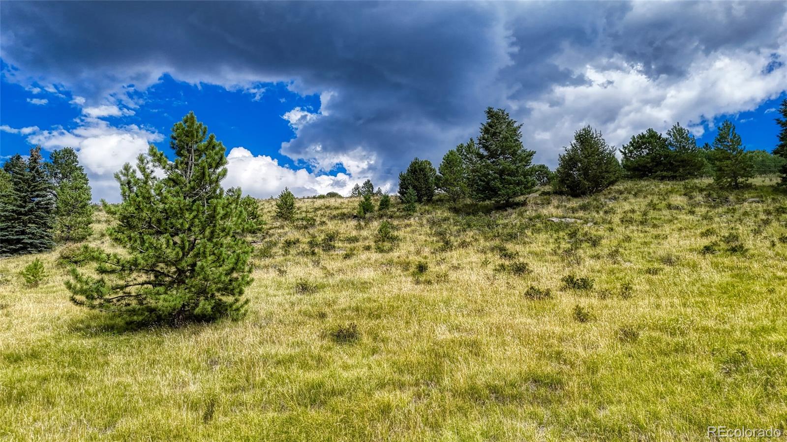 972 Anges Drive Cripple Creek CO 80813