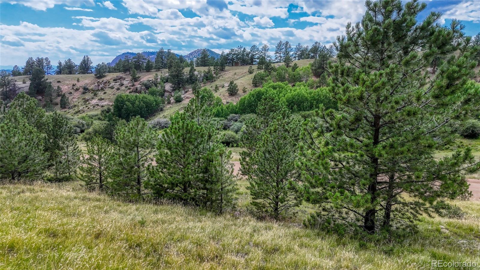 972 Anges Drive Cripple Creek CO 80813