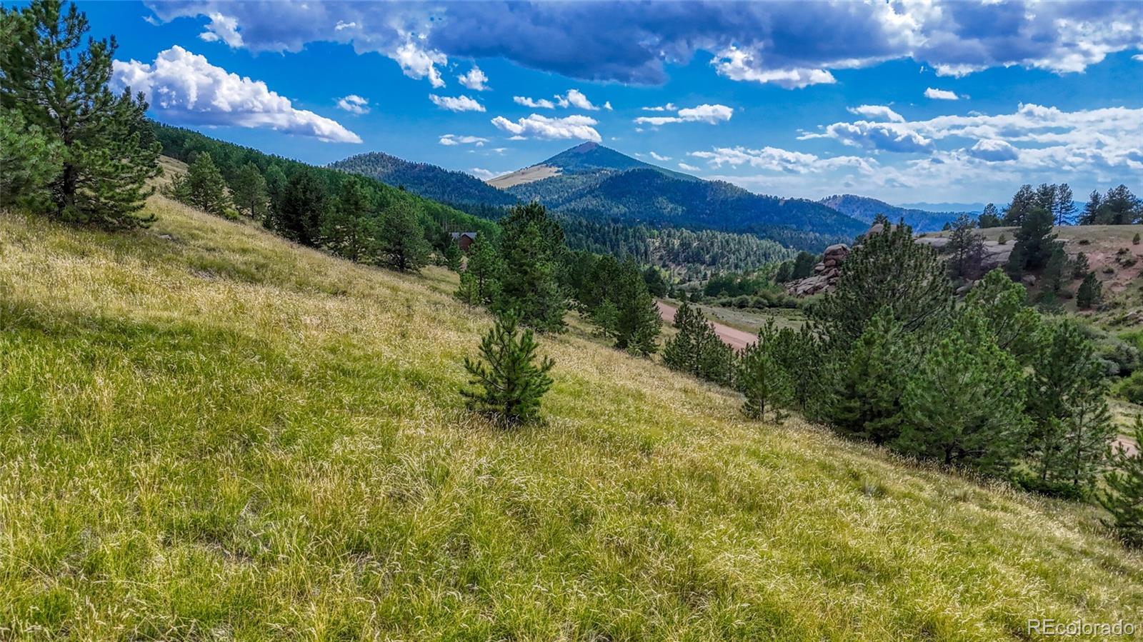 972 Anges Drive Cripple Creek CO 80813