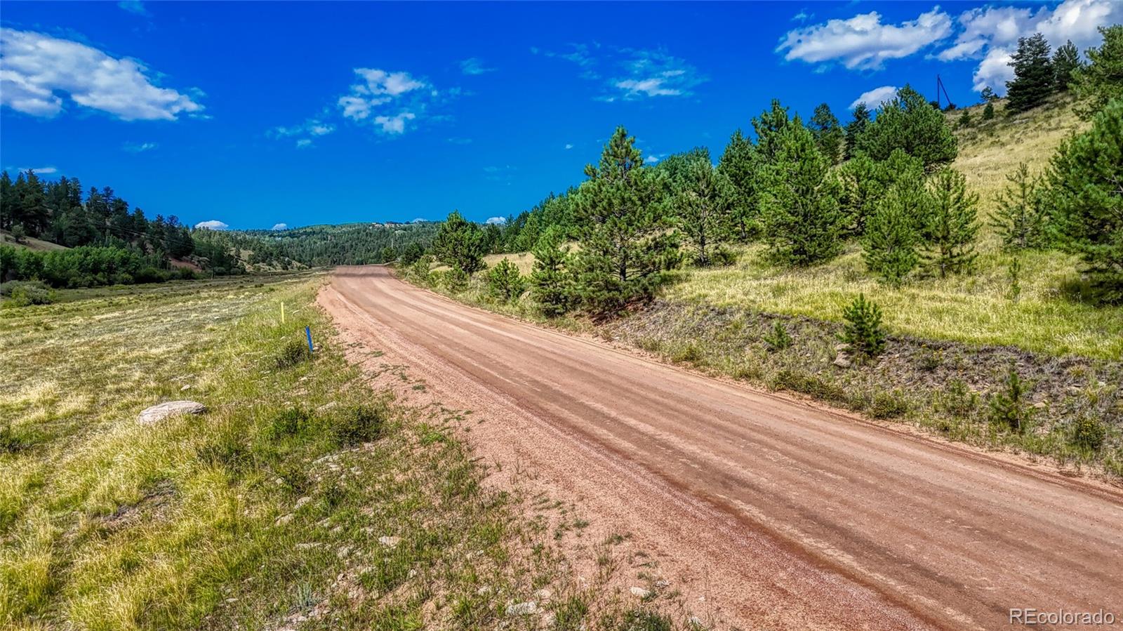 972 Anges Drive Cripple Creek CO 80813