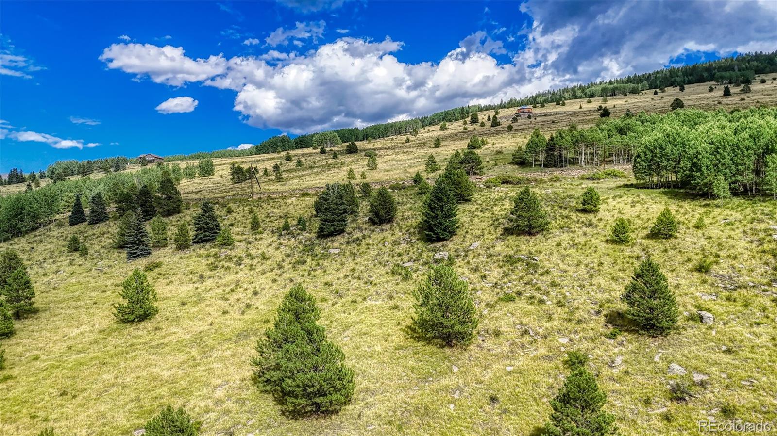 972 Anges Drive Cripple Creek CO 80813