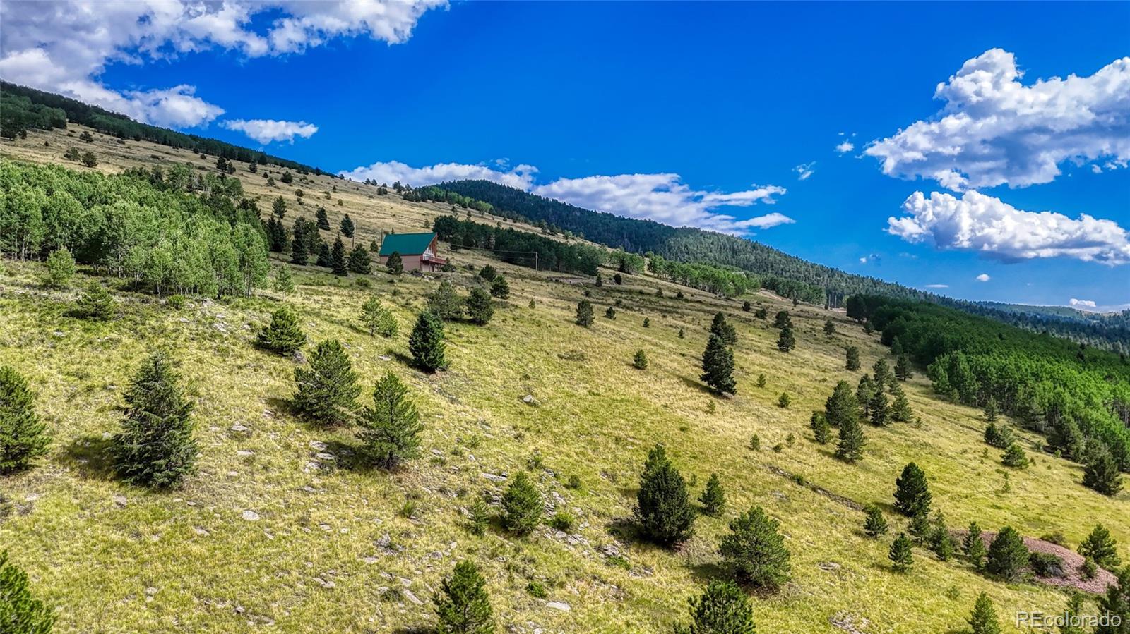 972 Anges Drive Cripple Creek CO 80813