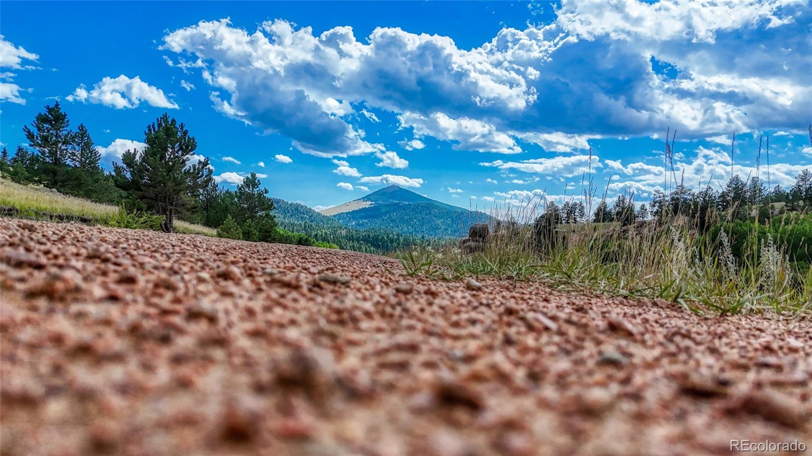 972 Anges Drive Cripple Creek CO 80813