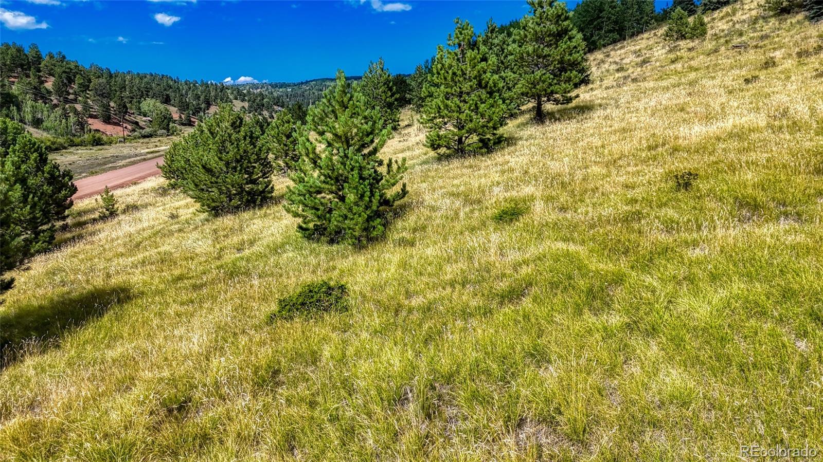 972 Anges Drive Cripple Creek CO 80813