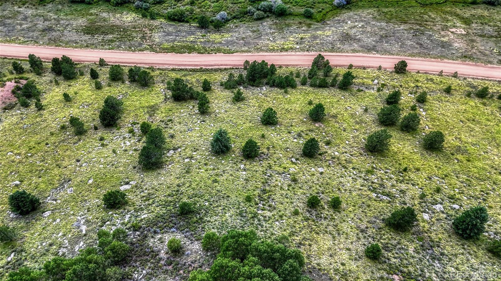972 Anges Drive Cripple Creek CO 80813