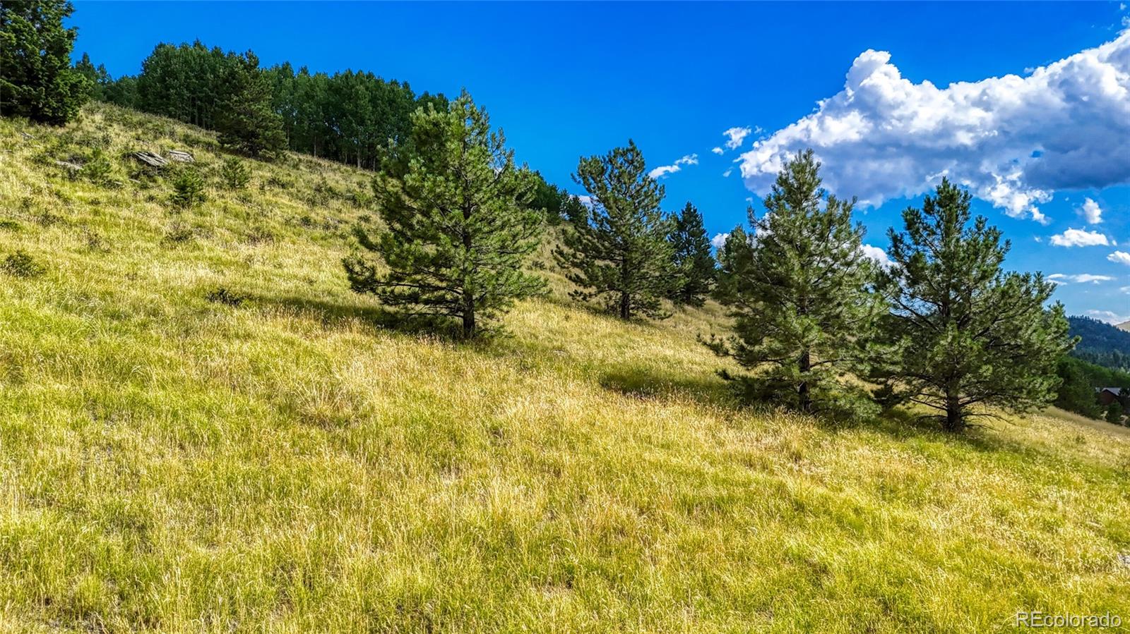 972 Anges Drive Cripple Creek CO 80813