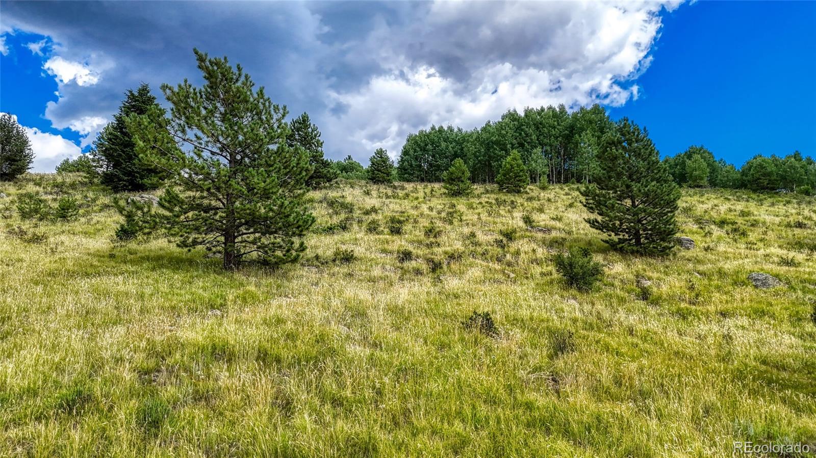 972 Anges Drive Cripple Creek CO 80813