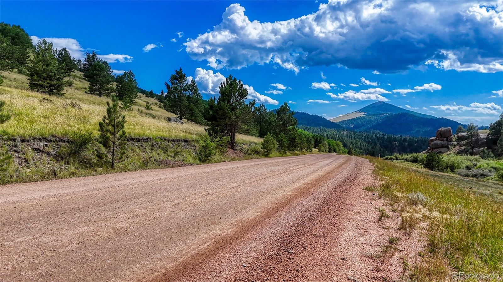 972 Anges Drive Cripple Creek CO 80813