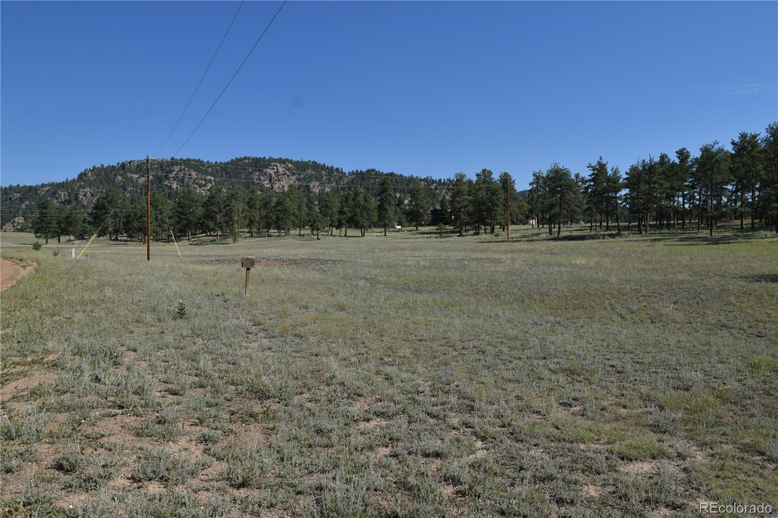431 High Chateau Road Florissant CO 80816