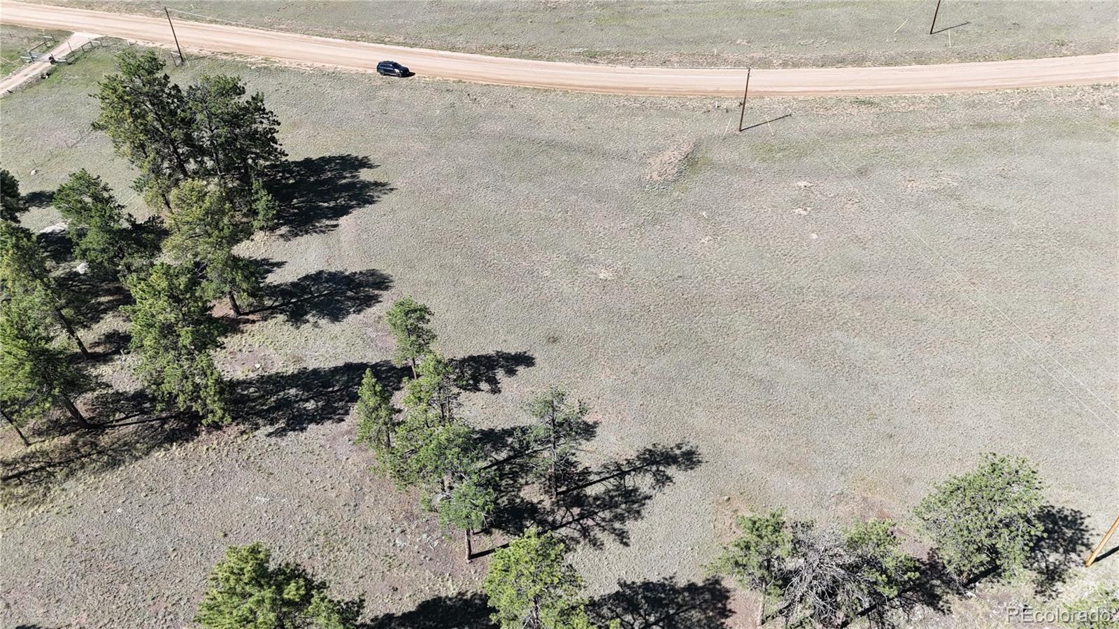 431 High Chateau Road Florissant CO 80816