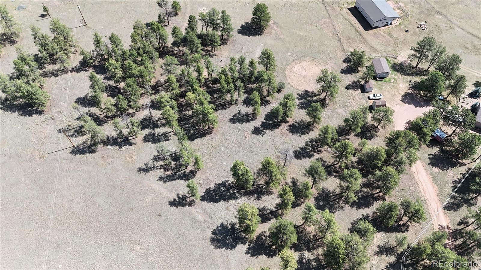431 High Chateau Road Florissant CO 80816