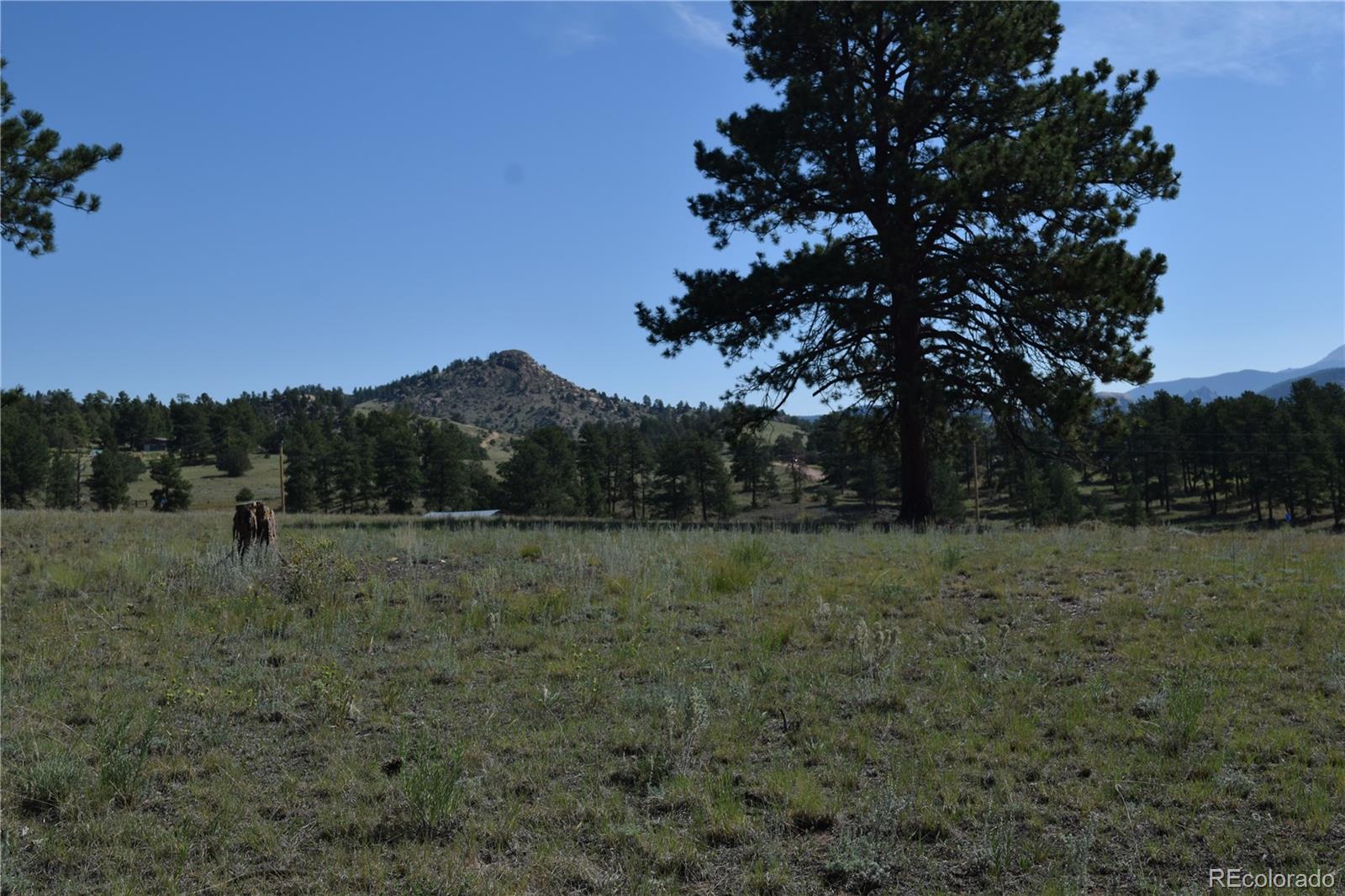 431 High Chateau Road Florissant CO 80816