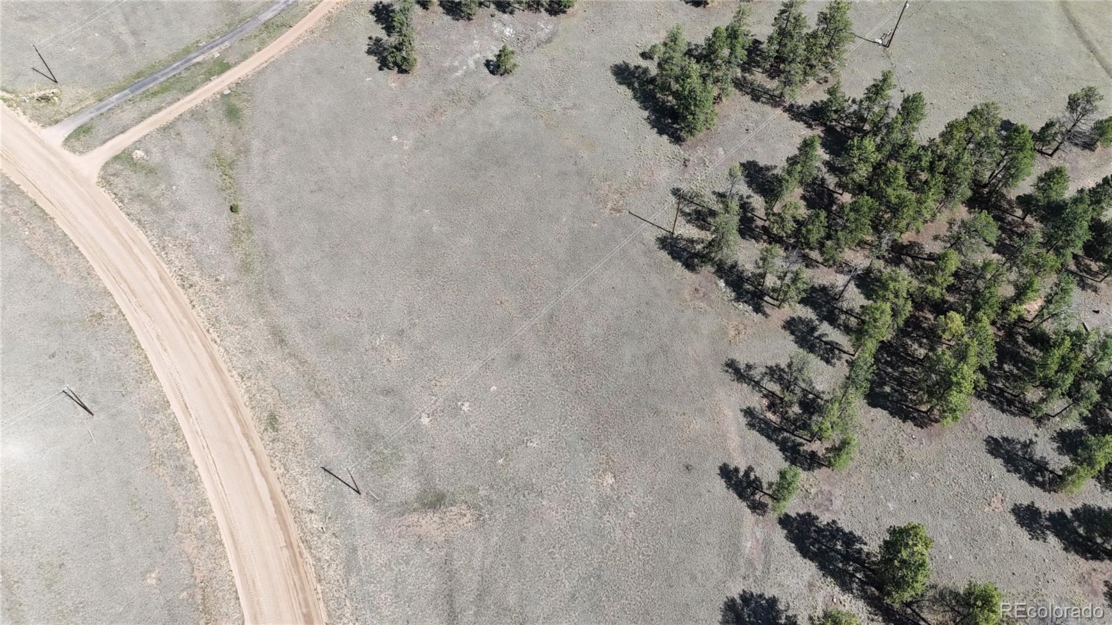 431 High Chateau Road Florissant CO 80816
