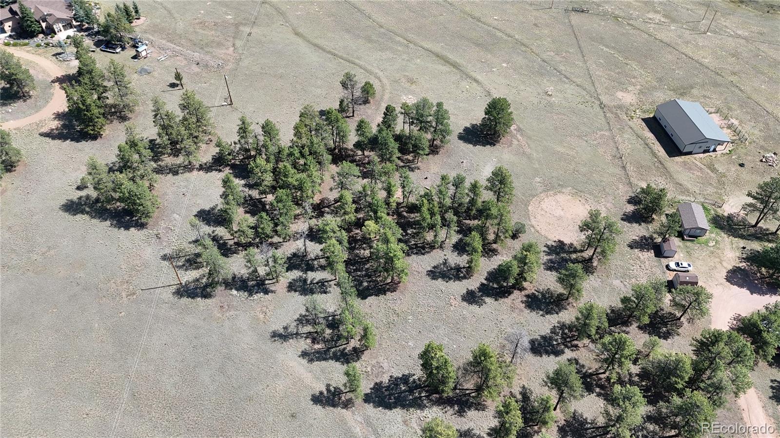431 High Chateau Road Florissant CO 80816