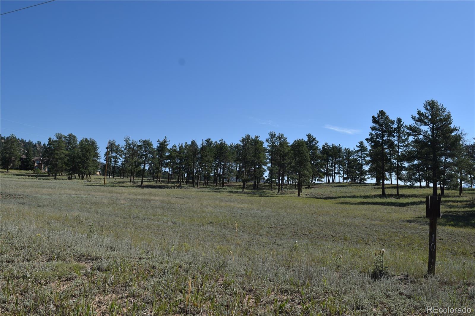 431 High Chateau Road Florissant CO 80816