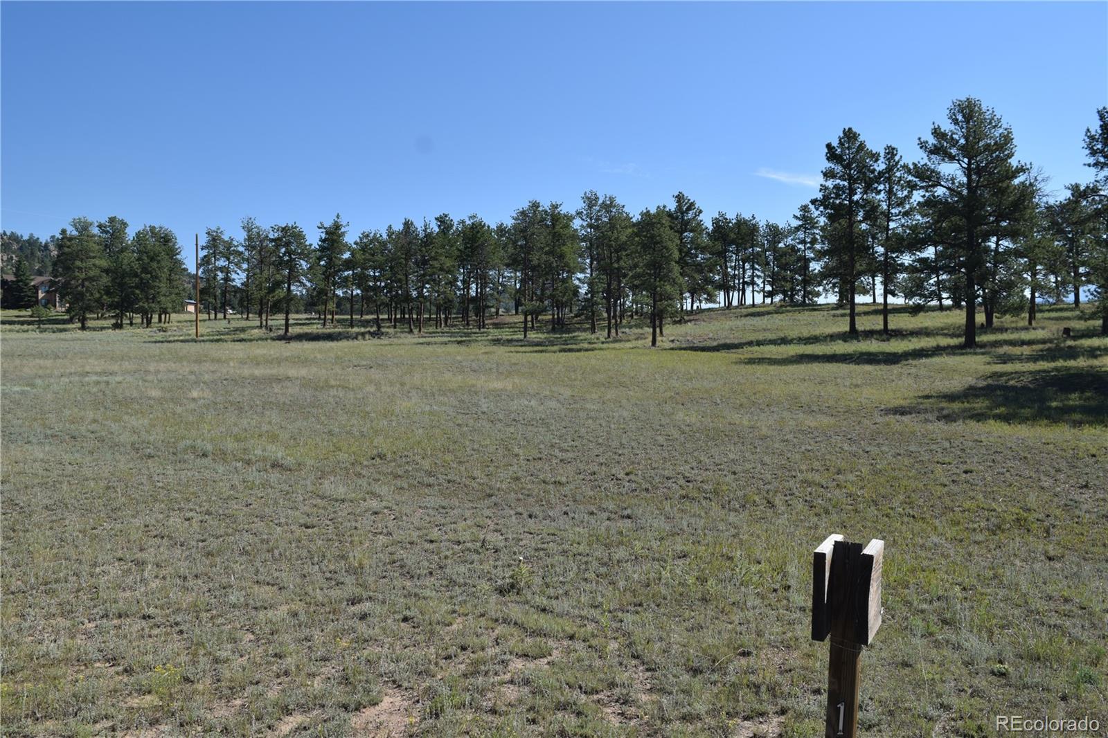 431 High Chateau Road Florissant CO 80816