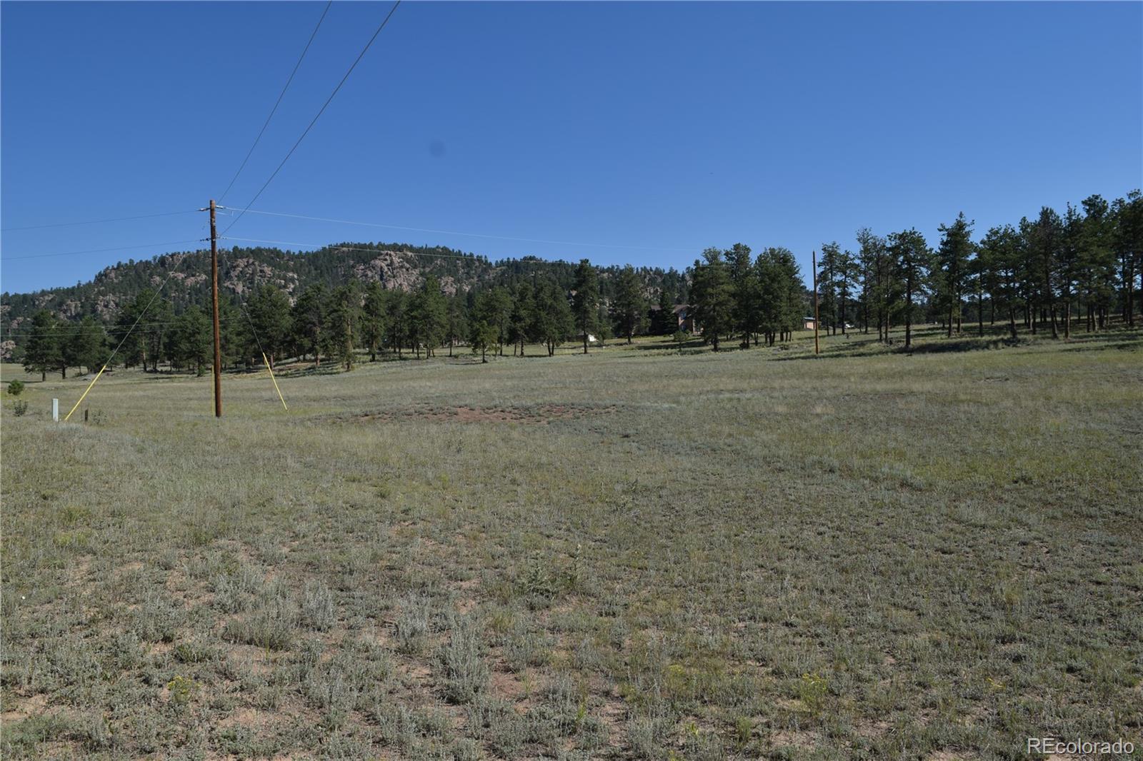 431 High Chateau Road Florissant CO 80816