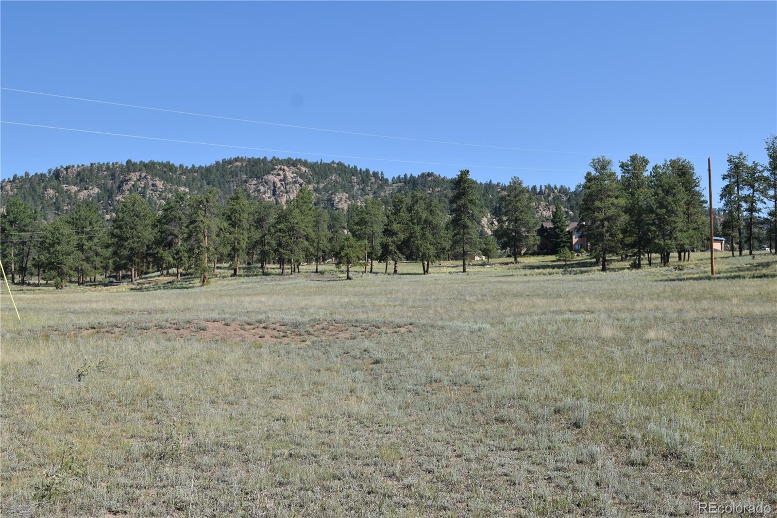 431 High Chateau Road Florissant CO 80816