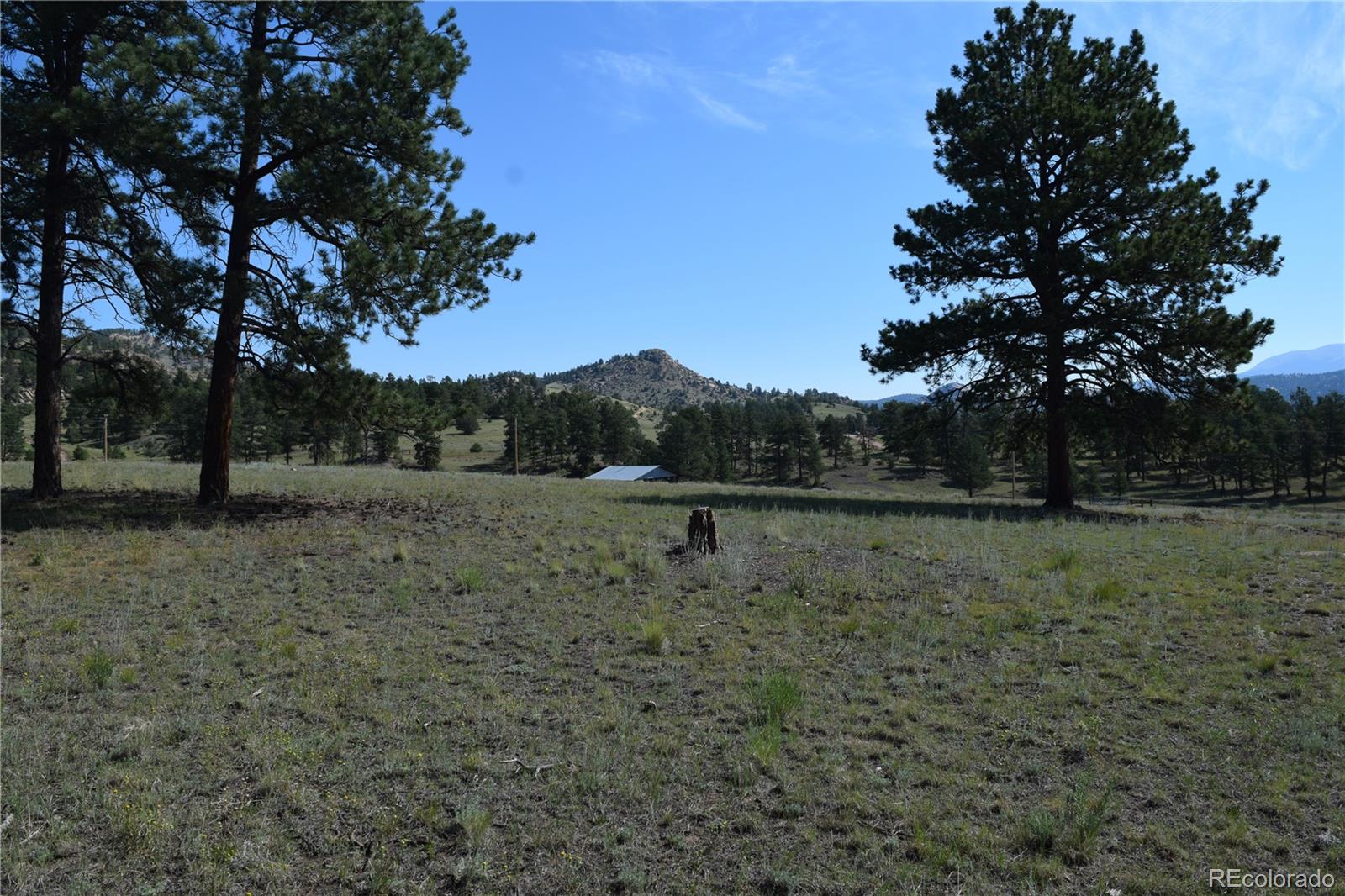 431 High Chateau Road Florissant CO 80816