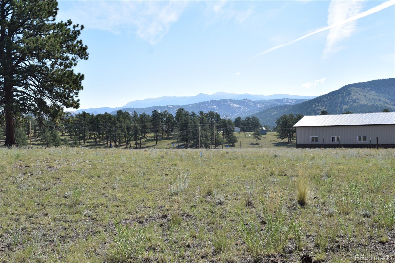 431 High Chateau Road Florissant CO 80816