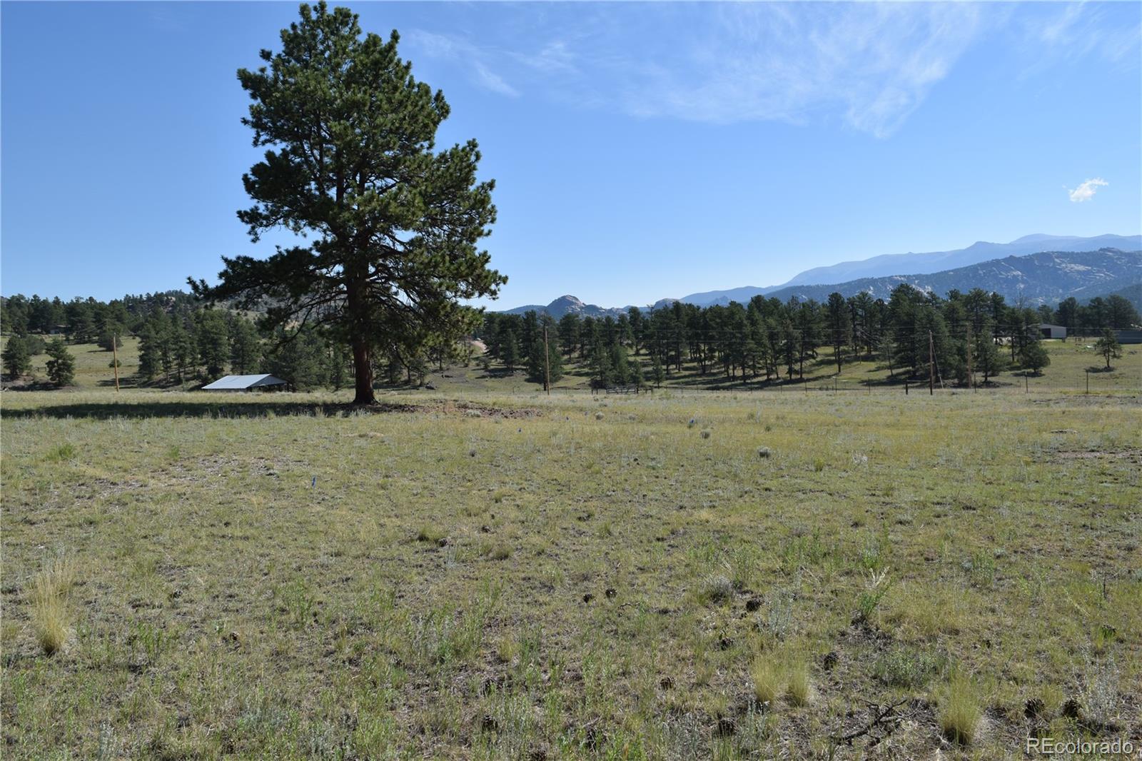 431 High Chateau Road Florissant CO 80816