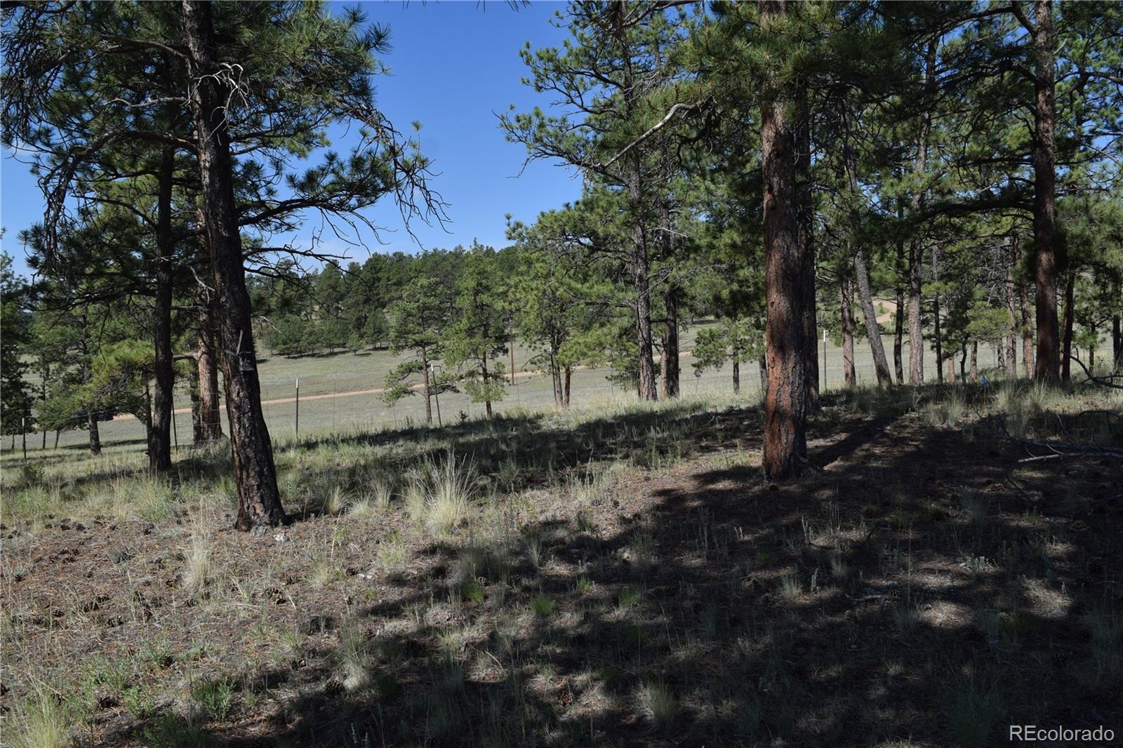 431 High Chateau Road Florissant CO 80816