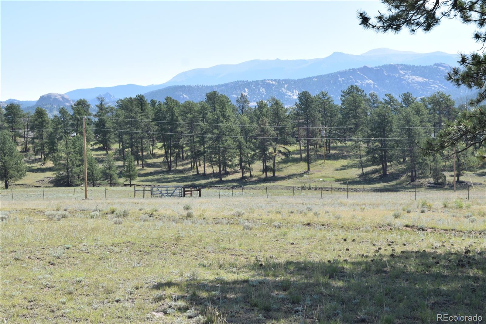 431 High Chateau Road Florissant CO 80816
