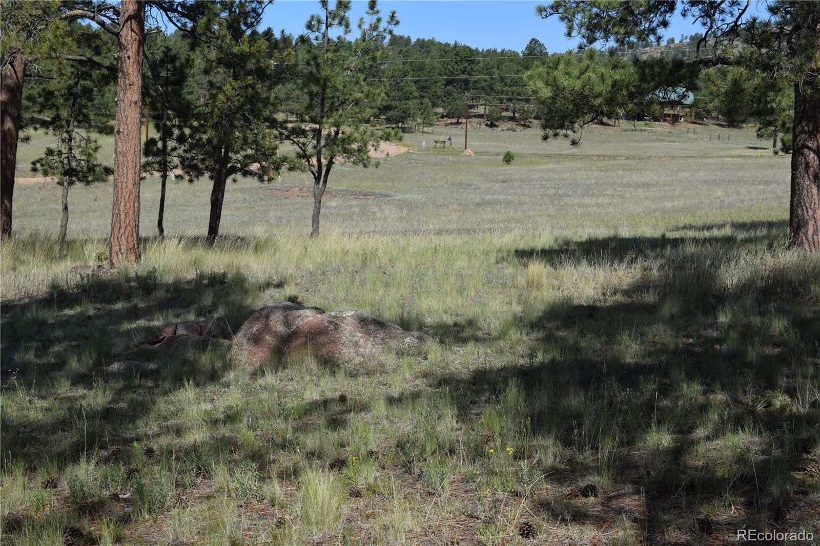 431 High Chateau Road Florissant CO 80816