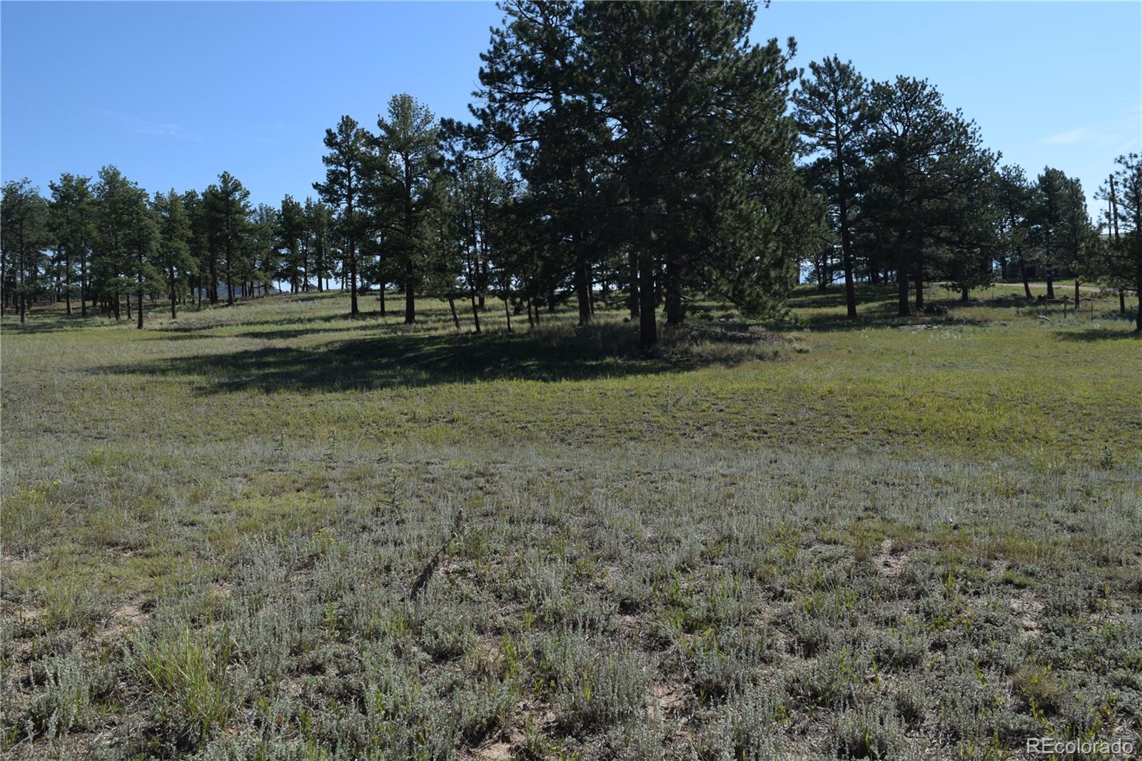 431 High Chateau Road Florissant CO 80816