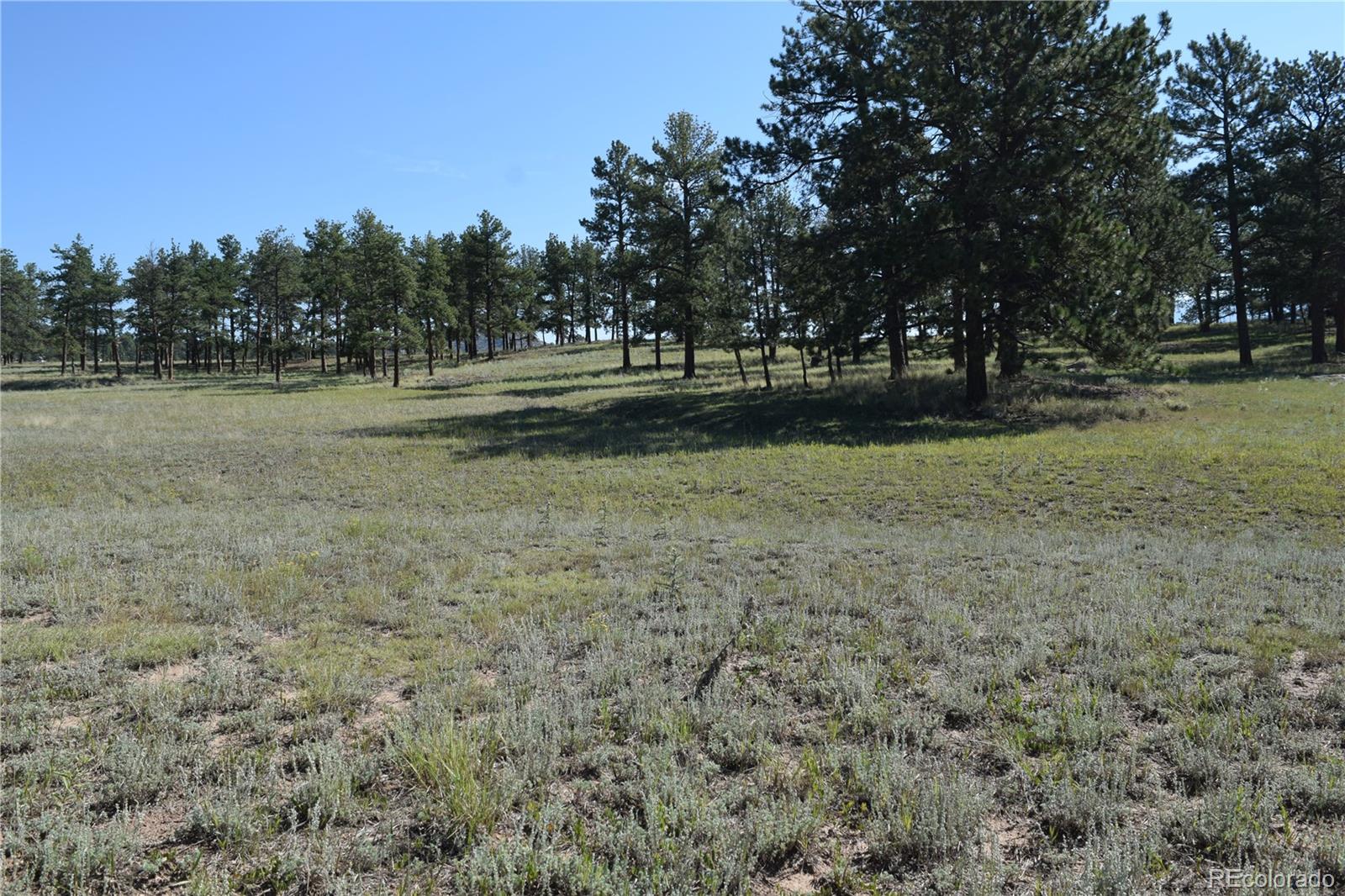 431 High Chateau Road Florissant CO 80816
