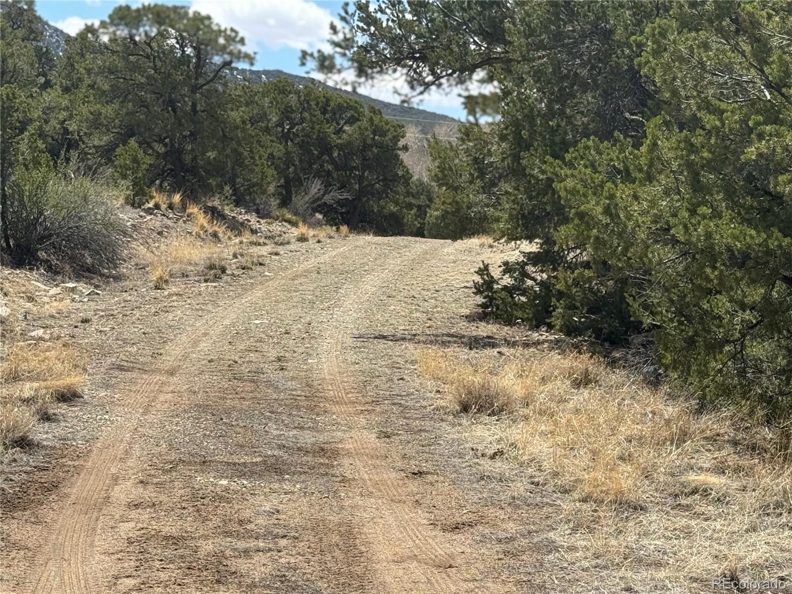 00103 Ute Drive Mosca CO 81146