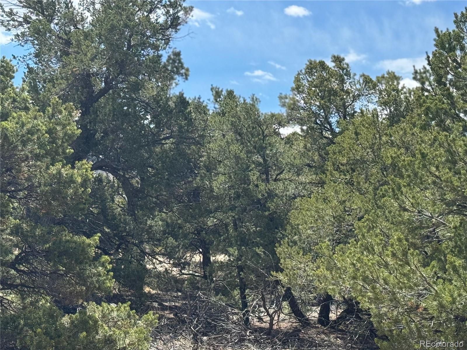 00103 Ute Drive Mosca CO 81146