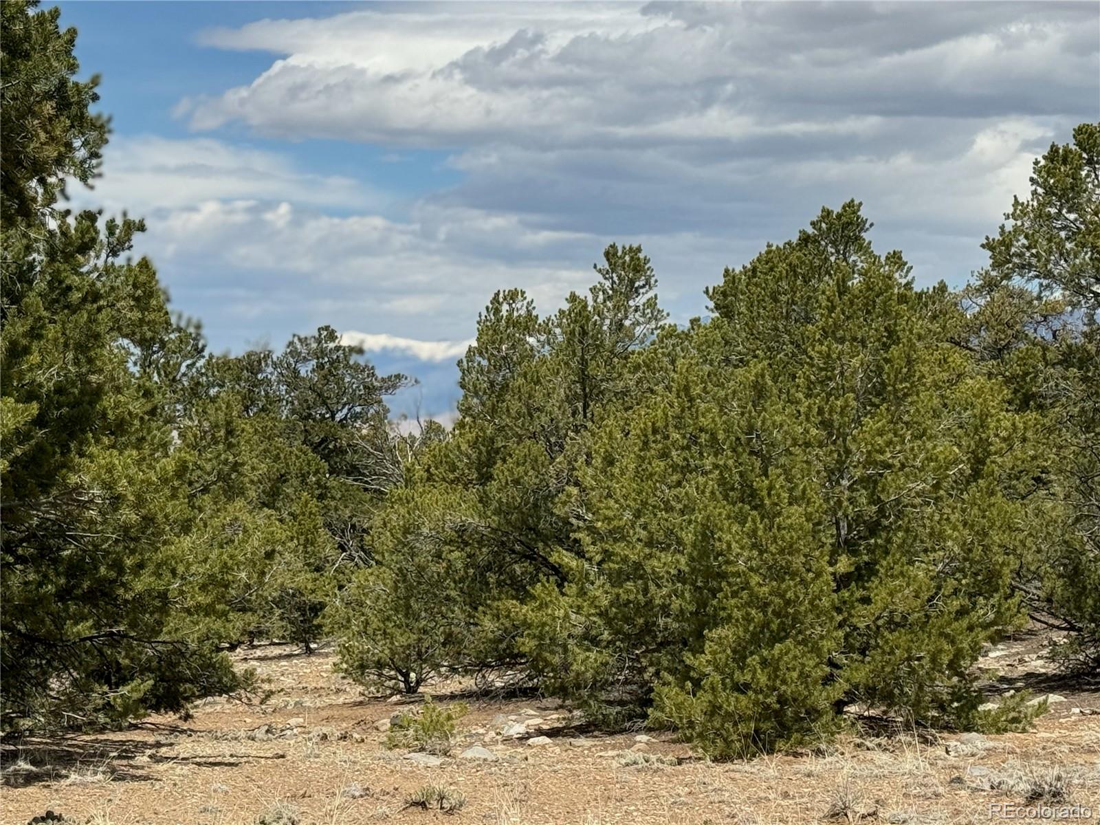 00103 Ute Drive Mosca CO 81146