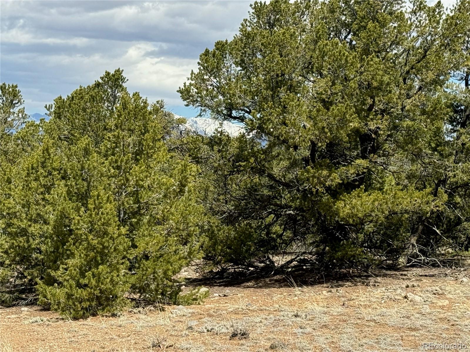 00103 Ute Drive Mosca CO 81146