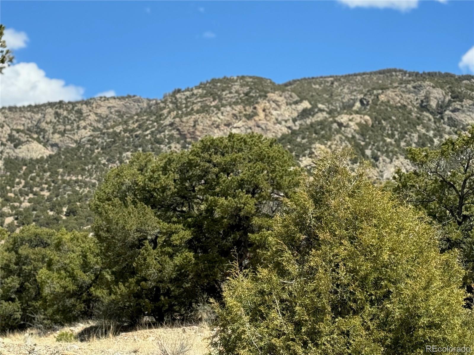 00103 Ute Drive Mosca CO 81146