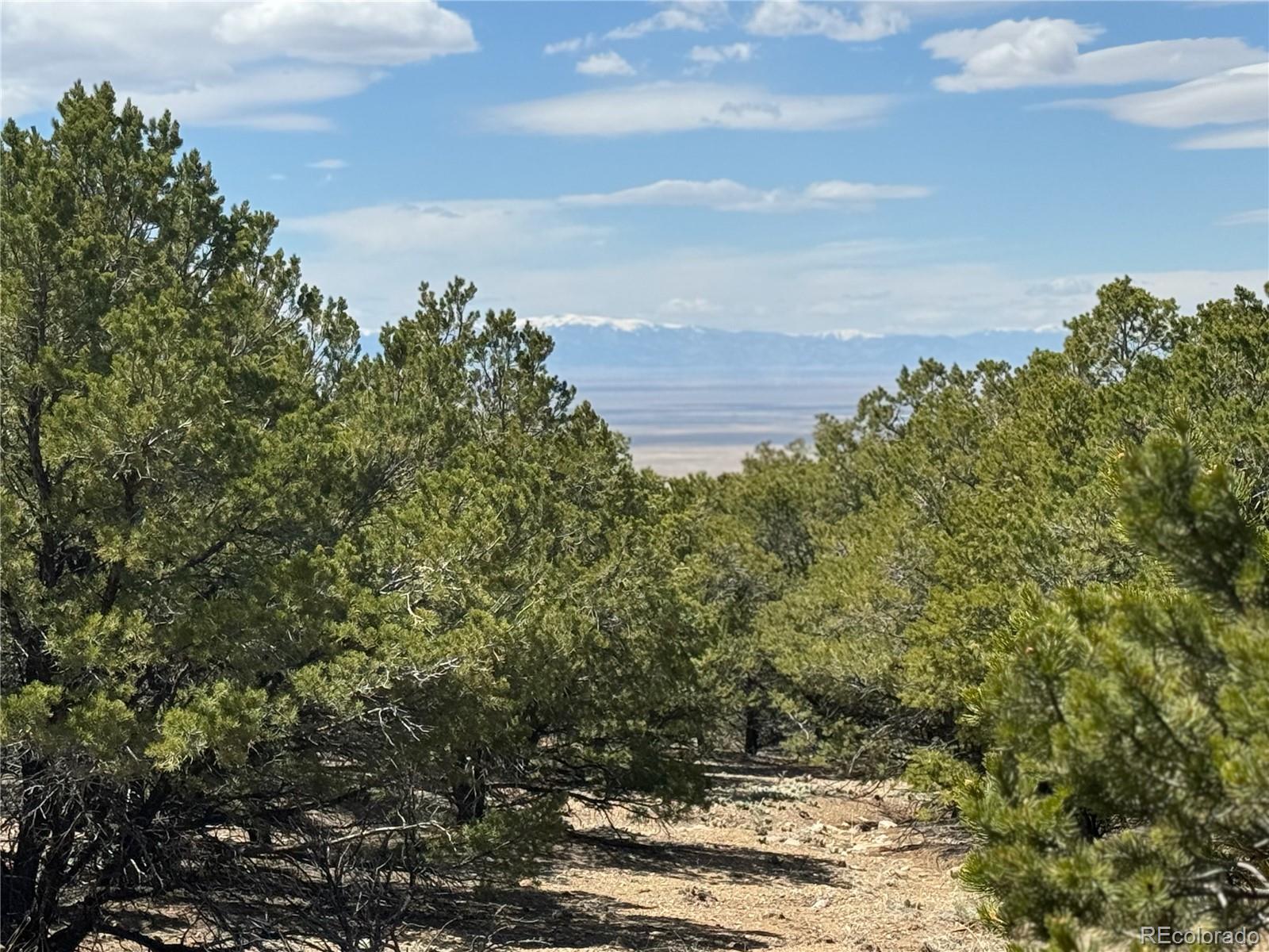 00103 Ute Drive Mosca CO 81146
