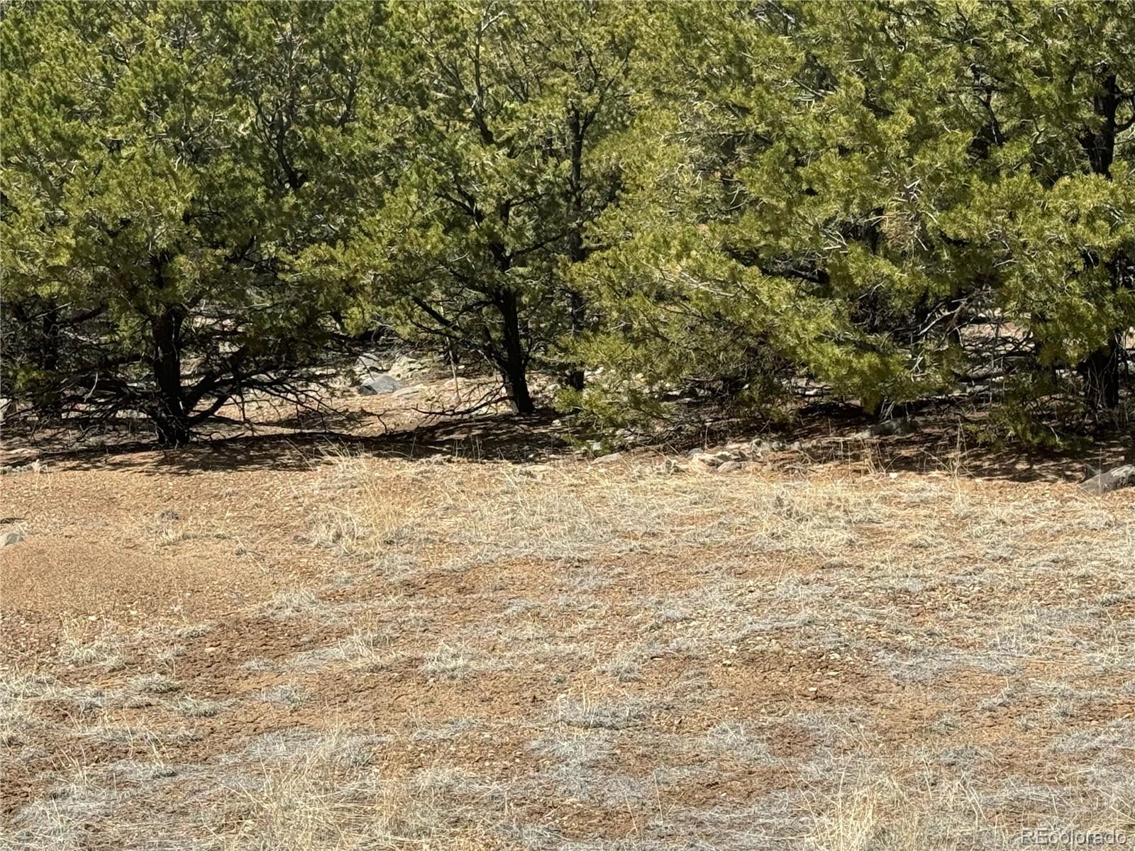 00103 Ute Drive Mosca CO 81146